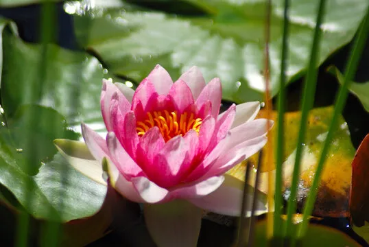 沃尔玛彩票 App 界面截图